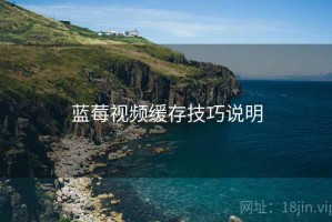 蓝莓视频缓存技巧说明
