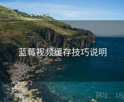 蓝莓视频缓存技巧说明