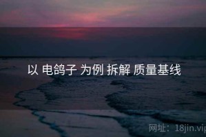 以 电鸽子 为例 拆解 质量基线