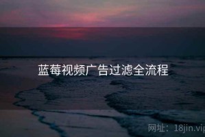 蓝莓视频广告过滤全流程