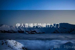 伊人直播手势操作入门