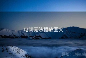 电鸽无法播放图文