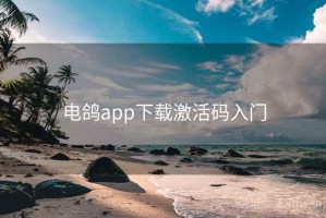电鸽app下载激活码入门
