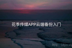 花季传媒APP云端备份入门