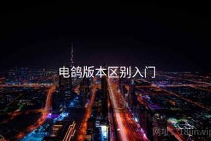 电鸽版本区别入门