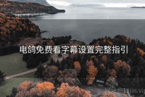 电鸽免费看字幕设置完整指引