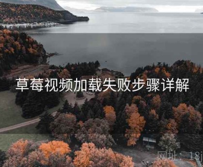 草莓视频加载失败步骤详解
