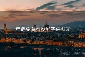 电鸽免费看投屏字幕图文