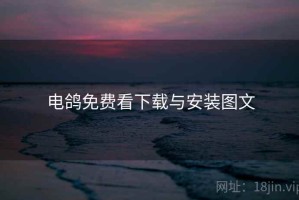 电鸽免费看下载与安装图文
