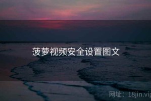 菠萝视频安全设置图文