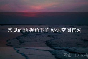 常见问题 视角下的 秘语空间官网