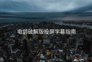电鸽破解版投屏字幕指南
