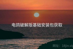 电鸽破解版基础安装包获取