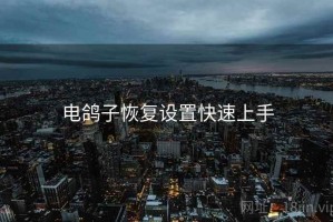 电鸽子恢复设置快速上手