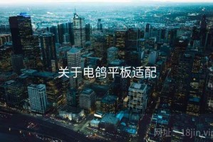 关于电鸽平板适配