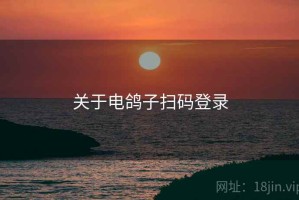 关于电鸽子扫码登录