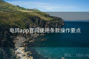 电鸽app官网使用条款操作要点