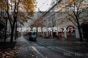 电鸽免费看版本更新入门