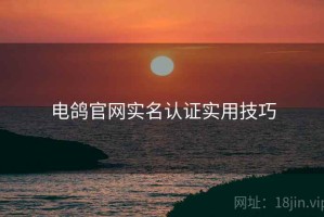 电鸽官网实名认证实用技巧
