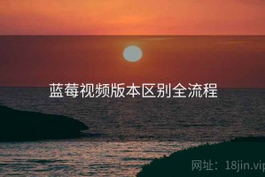 蓝莓视频版本区别全流程