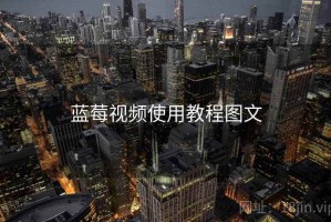 蓝莓视频使用教程图文