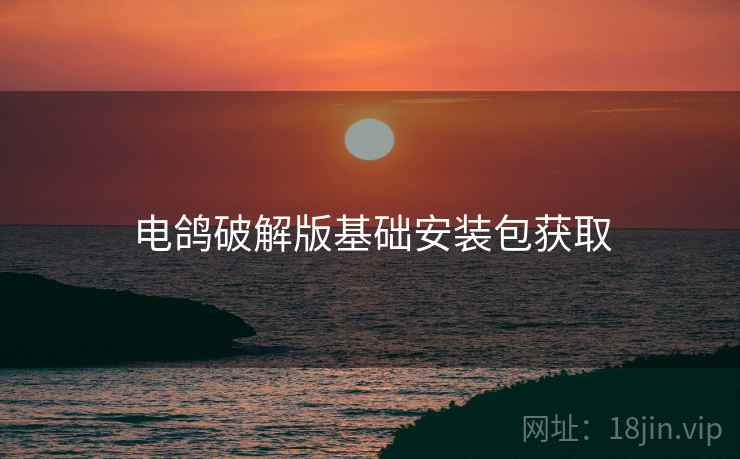 电鸽破解版基础安装包获取