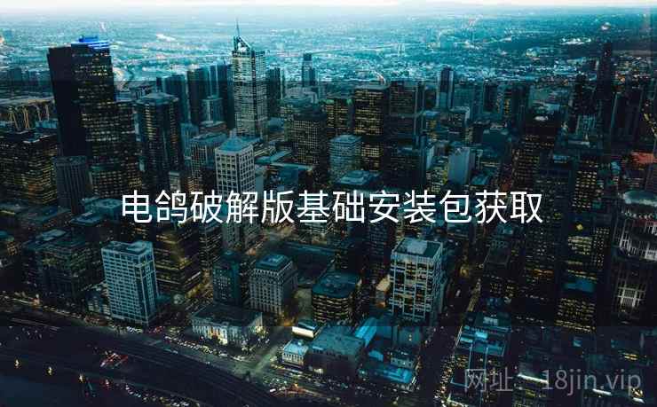 电鸽破解版基础安装包获取