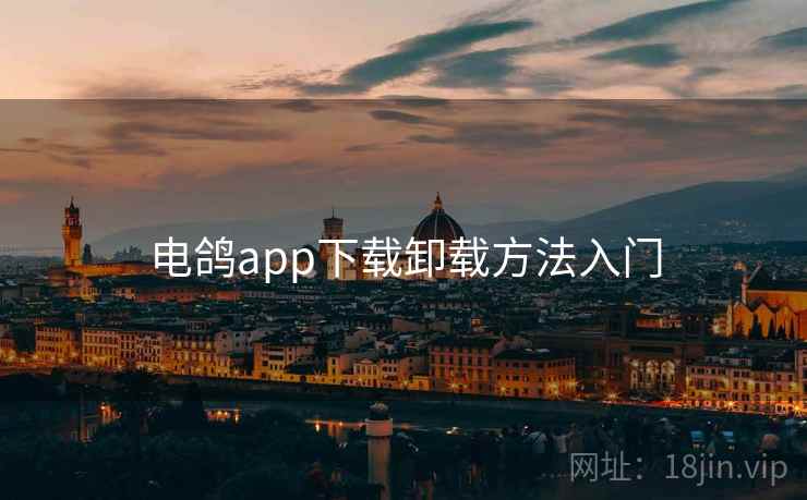 电鸽app下载卸载方法入门