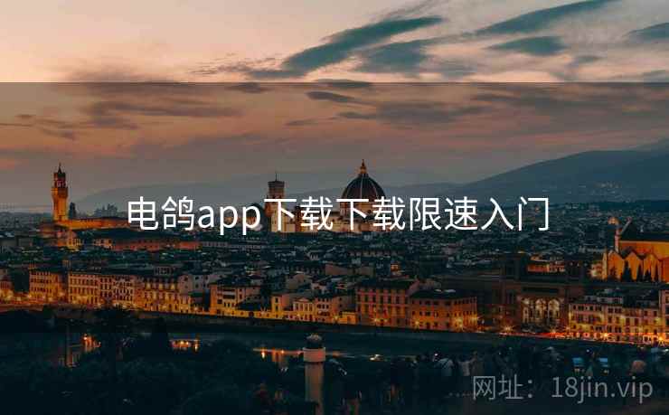 电鸽app下载下载限速入门