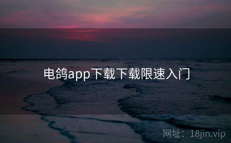 电鸽app下载下载限速入门
