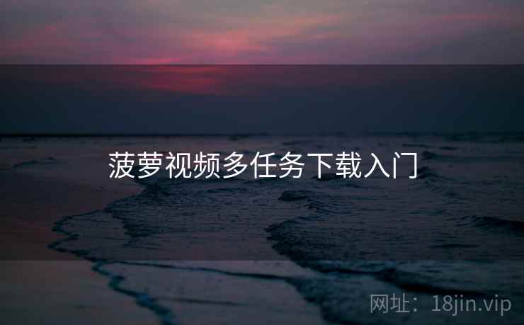 菠萝视频多任务下载入门