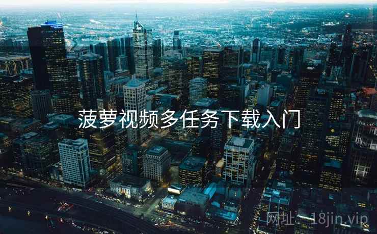 菠萝视频多任务下载入门