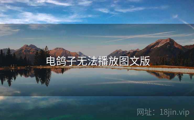 电鸽子无法播放图文版