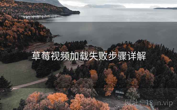 草莓视频加载失败步骤详解