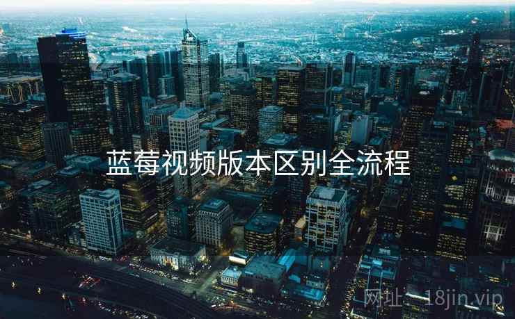 蓝莓视频版本区别全流程