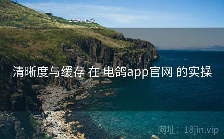 清晰度与缓存 在 电鸽app官网 的实操