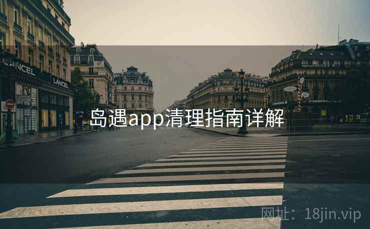 岛遇app清理指南详解