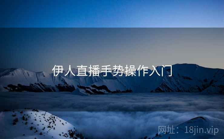 伊人直播手势操作入门