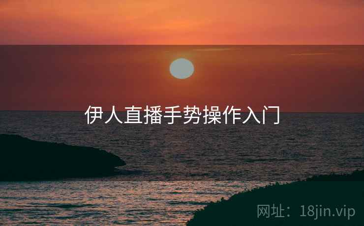 伊人直播手势操作入门