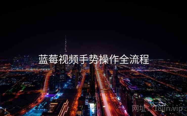 蓝莓视频手势操作全流程