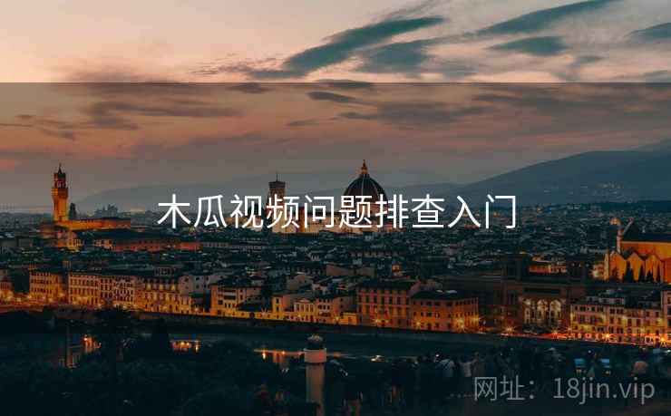 木瓜视频问题排查入门