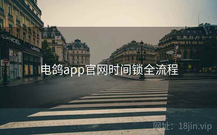 电鸽app官网时间锁全流程