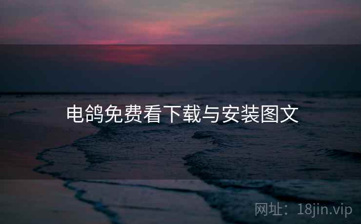 电鸽免费看下载与安装图文