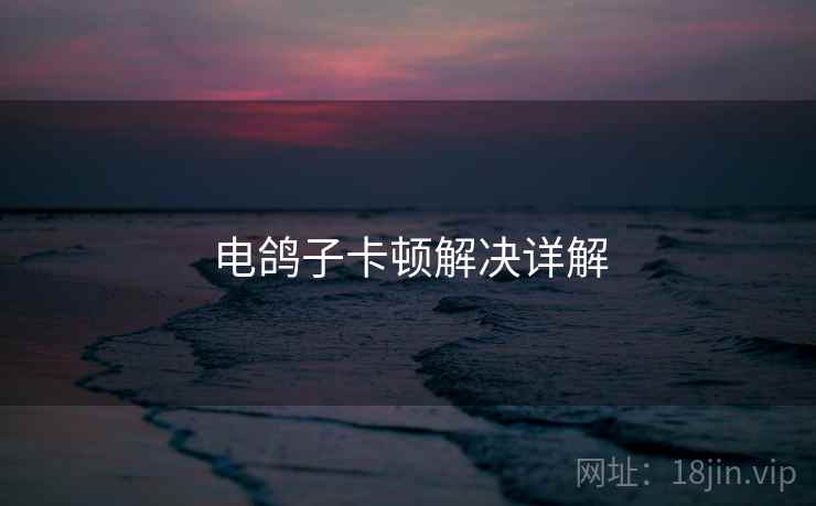 电鸽子卡顿解决详解