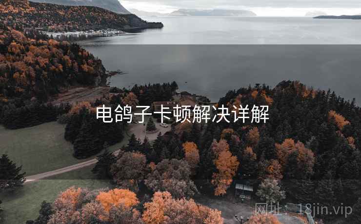 电鸽子卡顿解决详解
