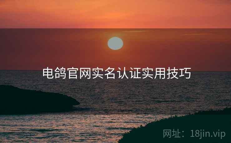 电鸽官网实名认证实用技巧