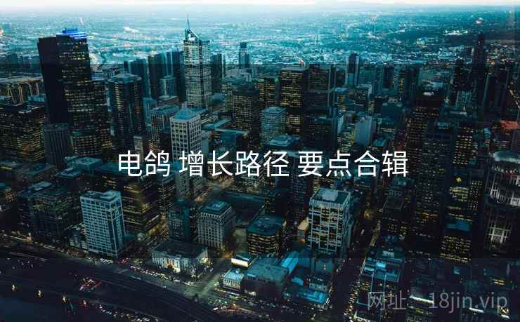 电鸽 增长路径 要点合辑