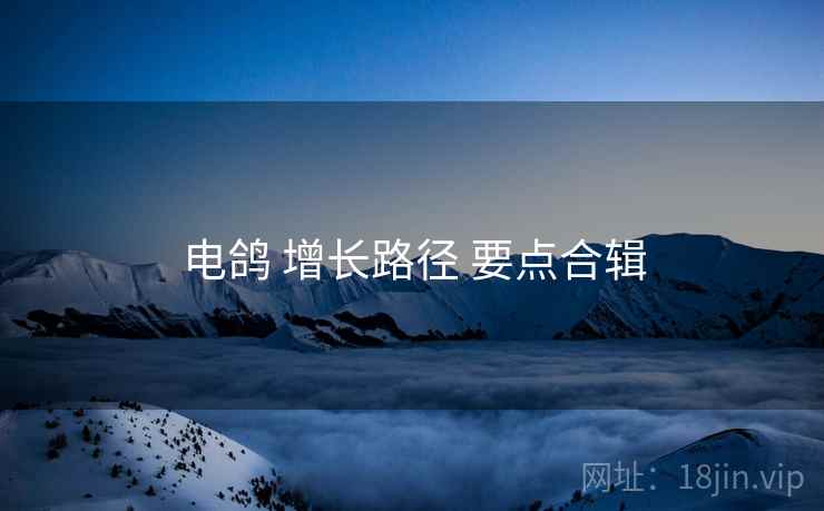 电鸽 增长路径 要点合辑