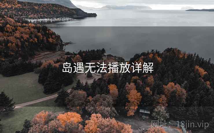 岛遇无法播放详解