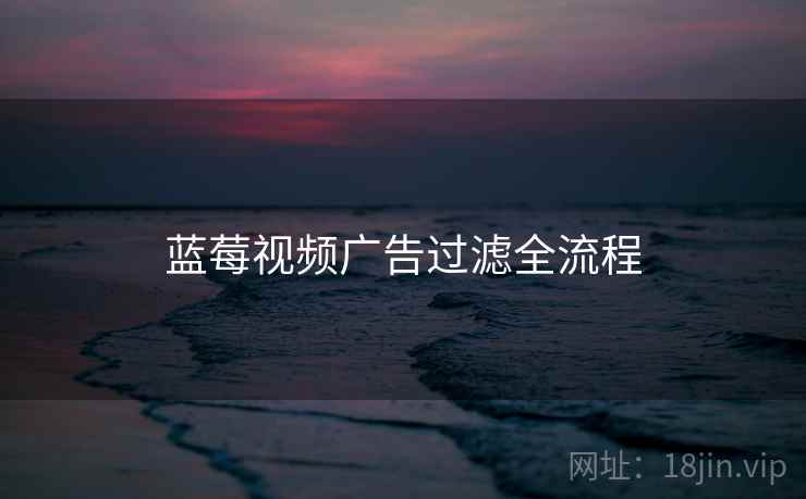 蓝莓视频广告过滤全流程